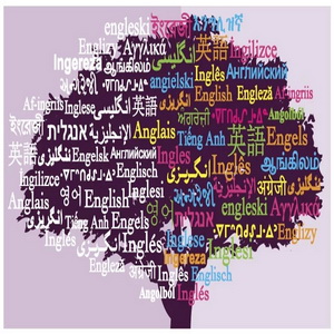 آموزش کامل زبان انگلیسی